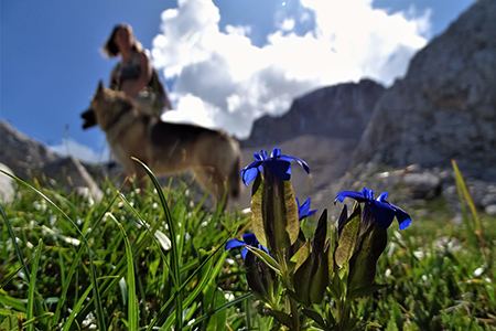 SENTIERO DEI FIORI ‘Claudio Brissoni’ ad anello da Capanna 2000 il 30 luglio 2019 - FOTOGALLERY